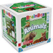 Picture of Brainbox Animals Card Game